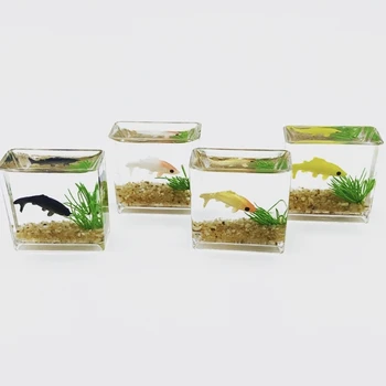 מיני מרובע/עגול דגים מציאותיים זכוכית עיצוב בית בובות תצוגה שובה מיניאטוריים עבור DIY-קישוטים מלאכת יד
